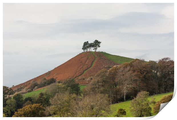 Colmers Hill Print by Graham Custance