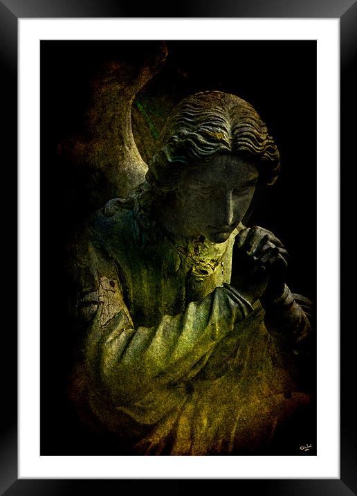 The Tomb Guardian Framed Mounted Print by Chris Lord