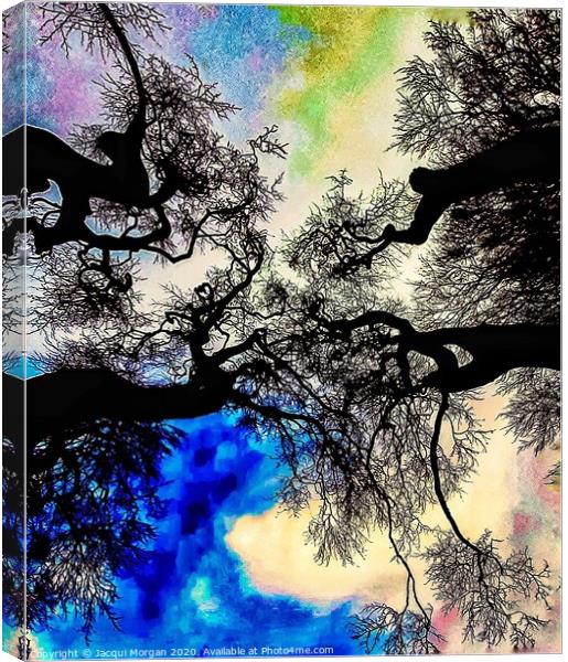 Mystical trees  Canvas Print by Jacqui Morgan