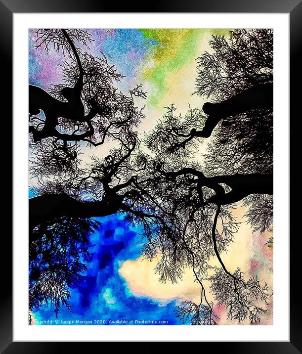 Mystical trees  Framed Mounted Print by Jacqui Morgan