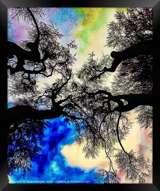 Mystical trees  Framed Print by Jacqui Morgan