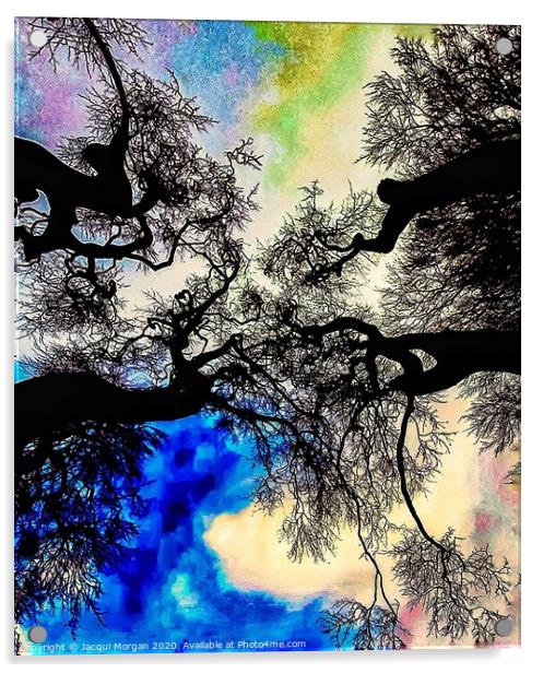 Mystical trees  Acrylic by Jacqui Morgan