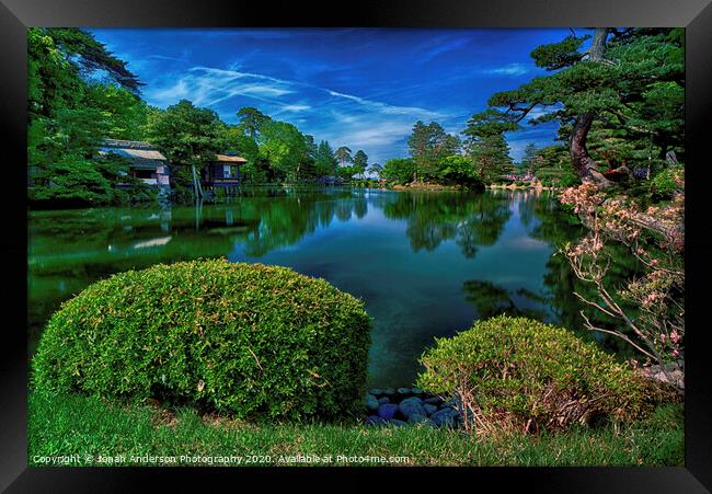Japanese Garden Pond Framed Print by Jonah Anderson Photography