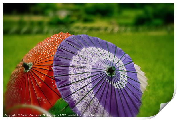 Sunny Day Print by Jonah Anderson Photography