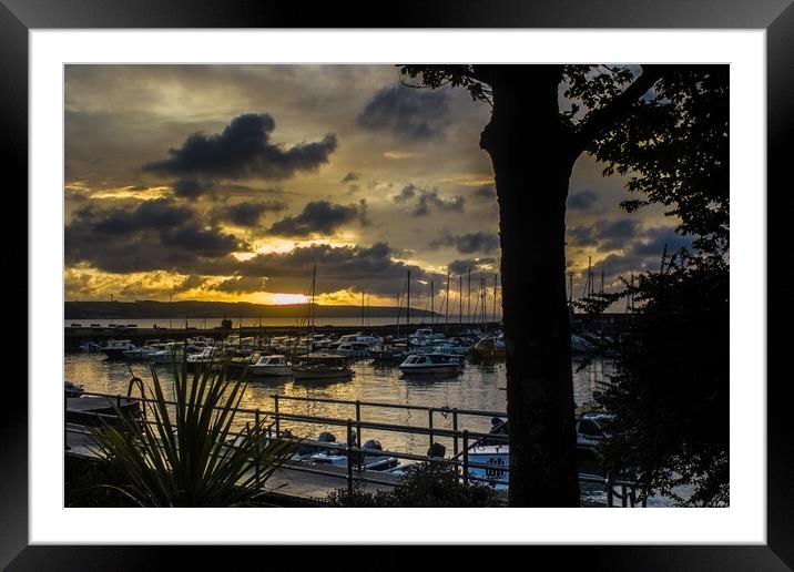 Saundersfoot Harbour Sunrise  Framed Mounted Print by Paddy Art