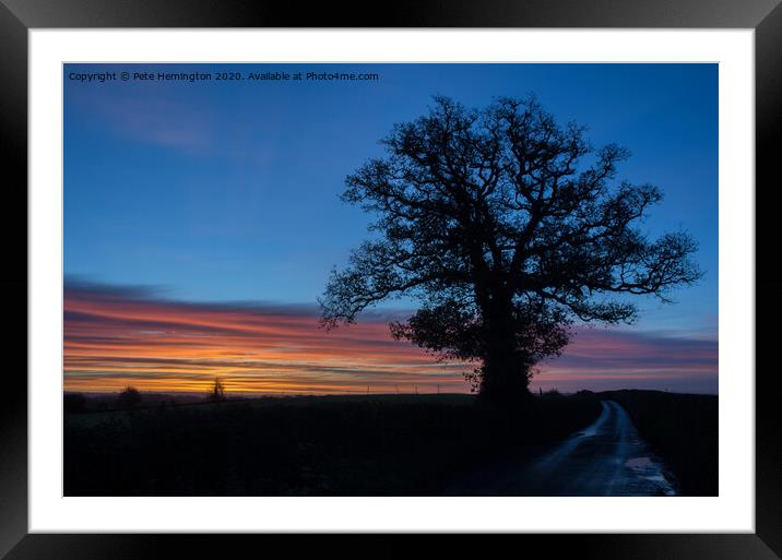 Lone tree at sunrise Framed Mounted Print by Pete Hemington