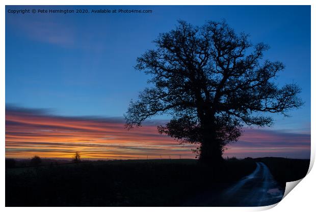 Lone tree at sunrise Print by Pete Hemington