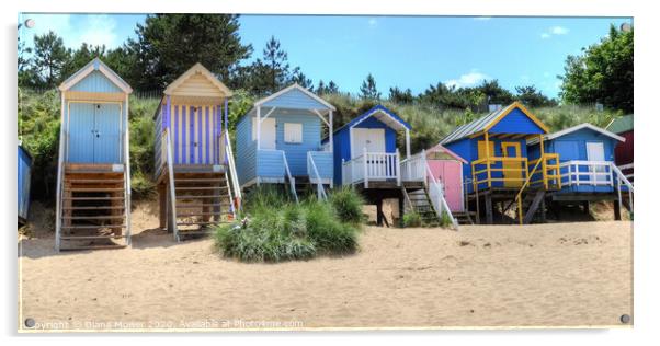 Wells Next the Sea Beach Huts Norfolk Acrylic by Diana Mower