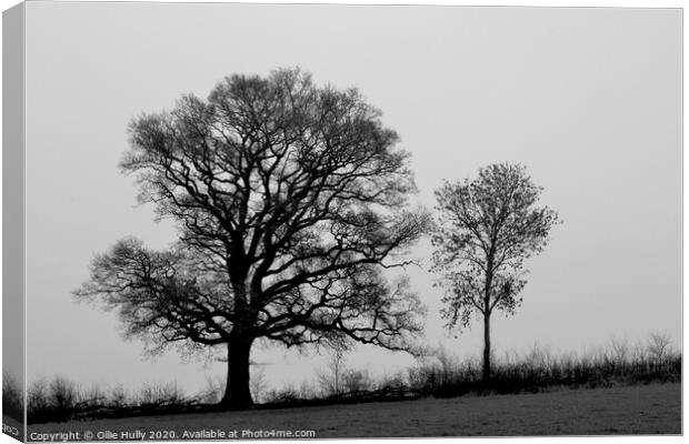 black and white tree's in a field  Canvas Print by Ollie Hully