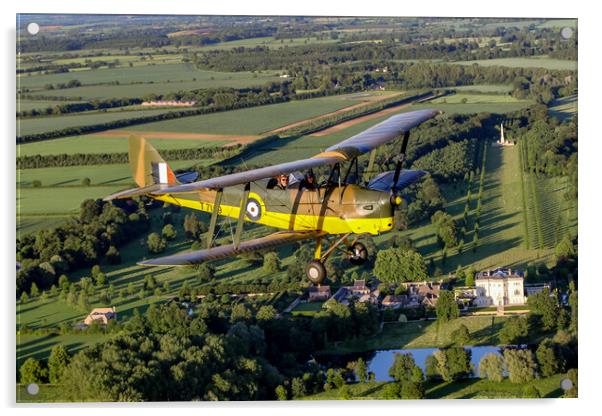 Tiger Moth Summer Flight Acrylic by Oxon Images