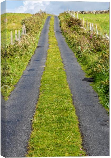 Country road, Mayo, Ireland Canvas Print by Phil Crean