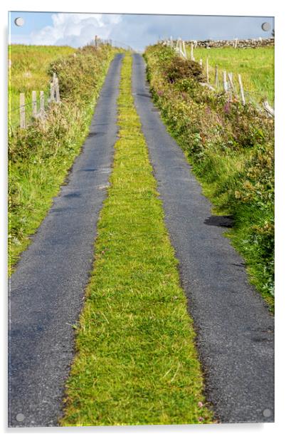 Country road, Mayo, Ireland Acrylic by Phil Crean