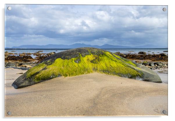 Old Head Louisburgh Beach Acrylic by Phil Crean