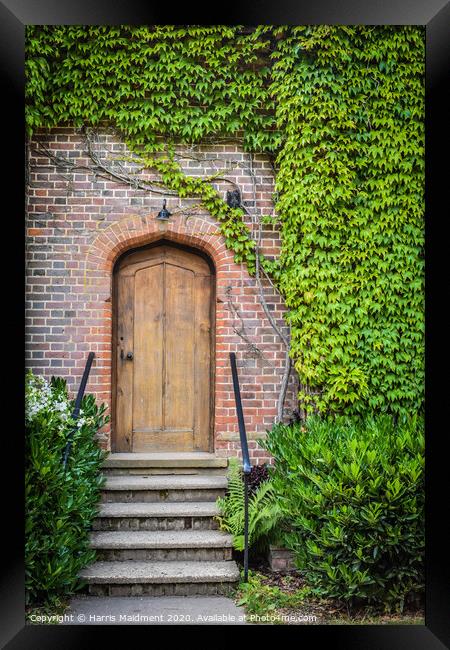 Ivy Doorway Framed Print by Harris Maidment