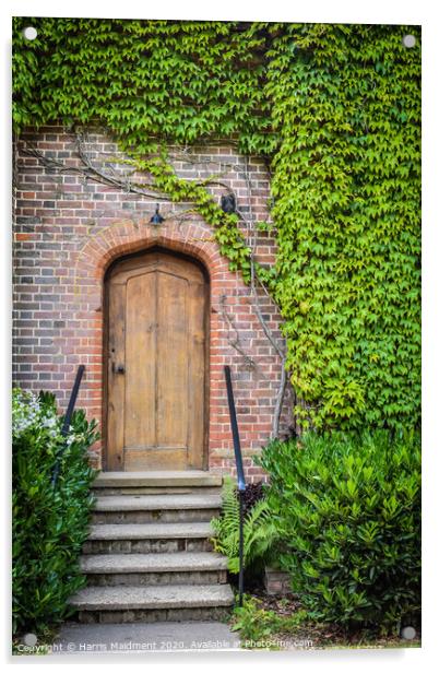 Ivy Doorway Acrylic by Harris Maidment