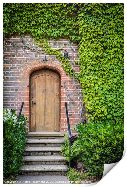 Ivy Doorway Print by Harris Maidment