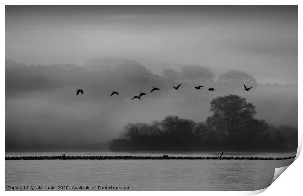 Geese at dawn over the misty Loch of Skene Print by alan bain