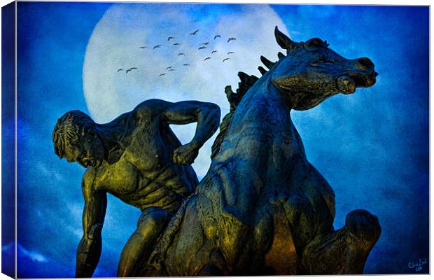 The Moonlight Rider Canvas Print by Chris Lord