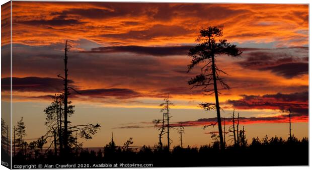 Sunset over the forest in Finland Canvas Print by Alan Crawford