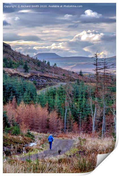 A walk through Kingsburgh Community Woodland. #2 Print by Richard Smith