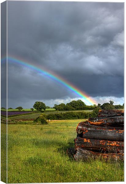 rainbow over wood Canvas Print by Dave Hayward