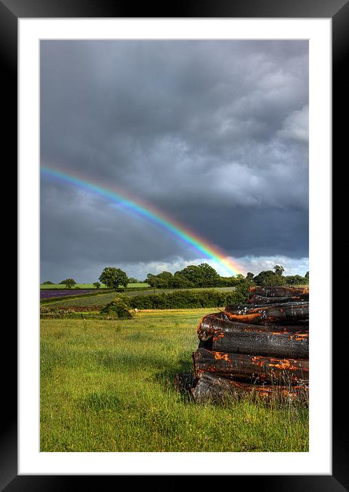 rainbow over wood Framed Mounted Print by Dave Hayward