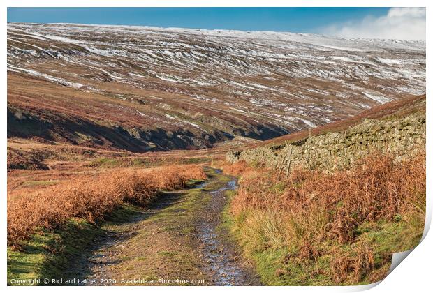 A wintry Hudes Hope Valley, Teesdale (2) Print by Richard Laidler