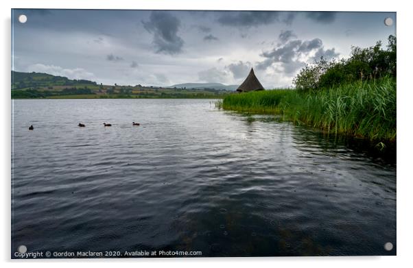 Ducks on Llangorse Lake Acrylic by Gordon Maclaren