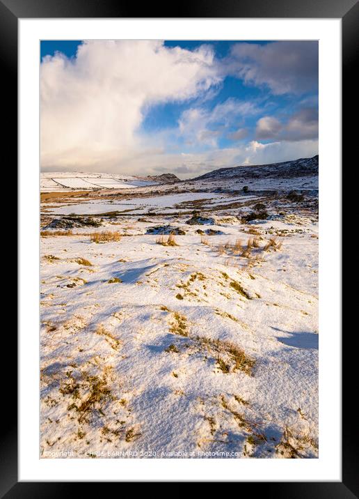 Winter Wonderland Framed Mounted Print by CHRIS BARNARD