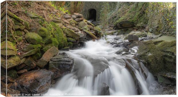 The Hidden falls Canvas Print by Malc Lawes