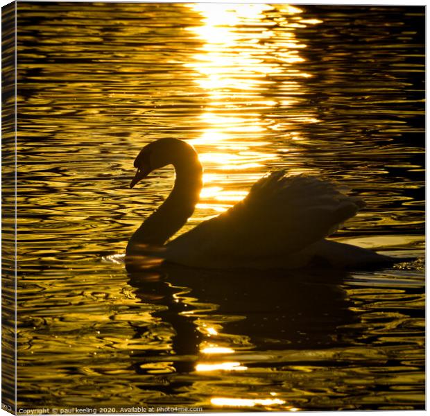 Swan lake Sunset Canvas Print by Paul Keeling
