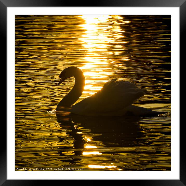 Swan lake Sunset Framed Mounted Print by Paul Keeling
