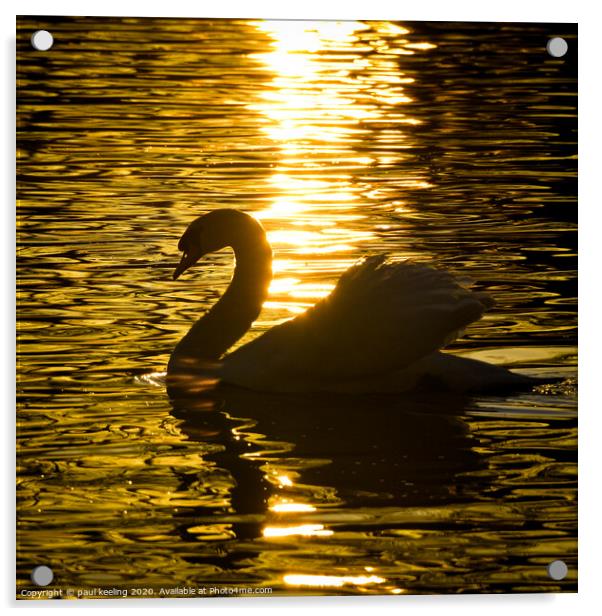 Swan lake Sunset Acrylic by Paul Keeling