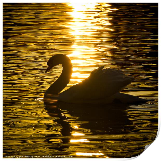 Swan lake Sunset Print by Paul Keeling