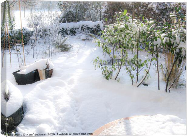 A sunny winter day with fresh snow and footprints  Canvas Print by Hanif Setiawan