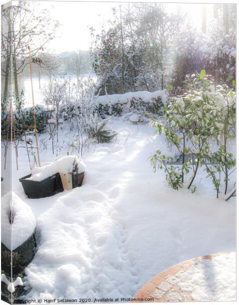 A sunny winter day with fresh snow and footprints  Canvas Print by Hanif Setiawan