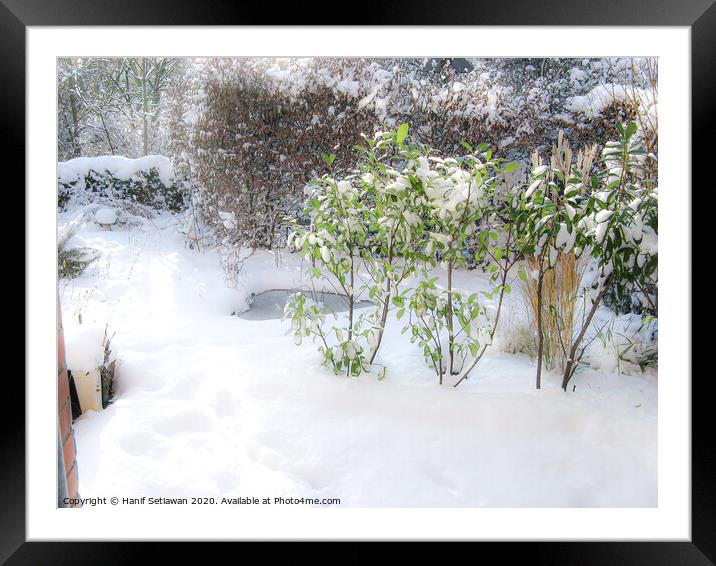 A sunny winter day with fresh snow and footprints  Framed Mounted Print by Hanif Setiawan
