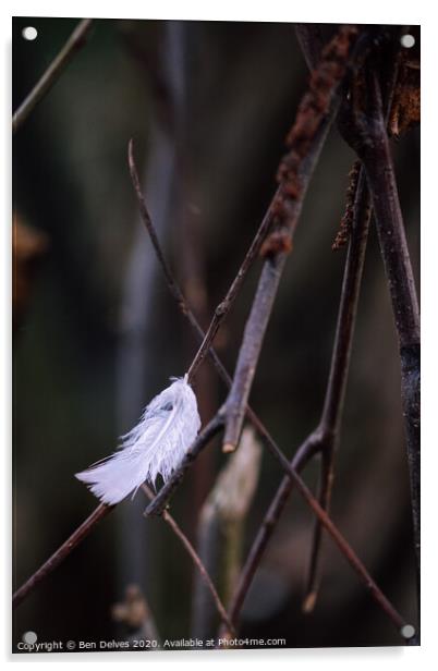 A Lonely Feather's Plight Acrylic by Ben Delves