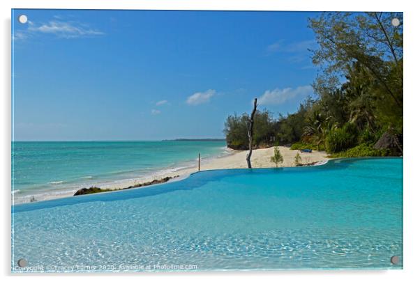 Pongwe Beach in Zanzibar Acrylic by Tracey Turner