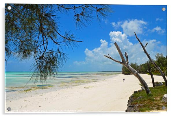 Pongwe Beach in Zanzibar Acrylic by Tracey Turner