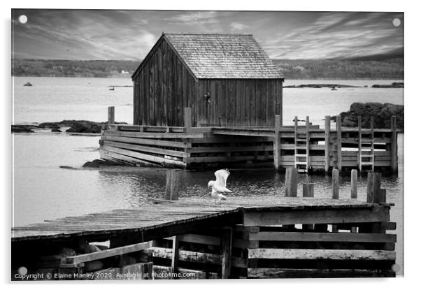 Old Fishing Hut   Atlantic Ocean Canada  Acrylic by Elaine Manley