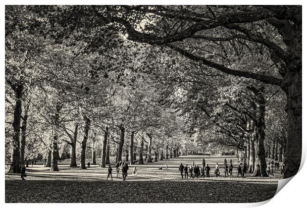 London Park Print by chris smith