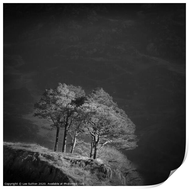 Outcrop Trees Print by Lee Sutton