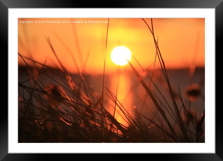 Sunset Through Long Grass Framed Mounted Print by Anne Macdonald