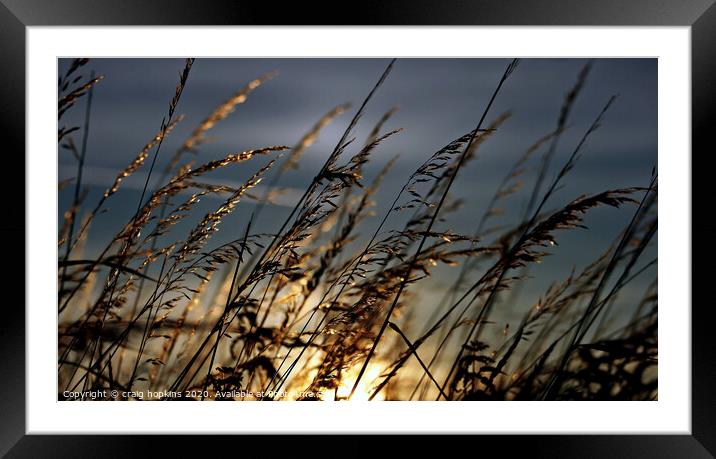 Abstract  Framed Mounted Print by craig hopkins