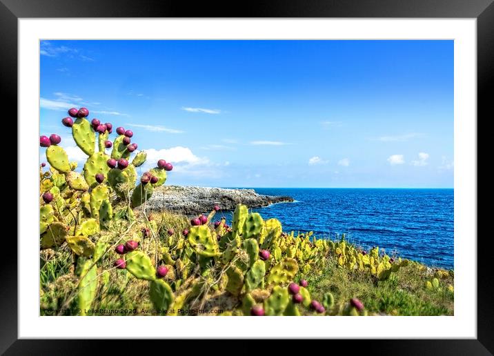 Salento - Italy Framed Mounted Print by Lello Bruno