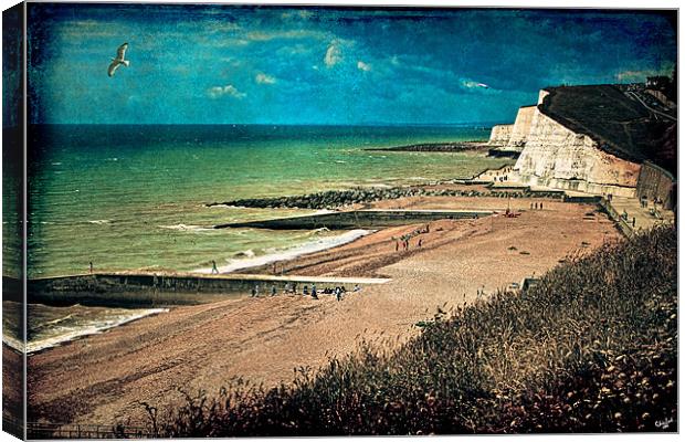 Welcome to Saltdean Canvas Print by Chris Lord