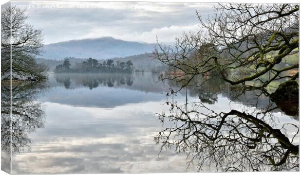 Rydal Water Reflections. Canvas Print by Jason Connolly