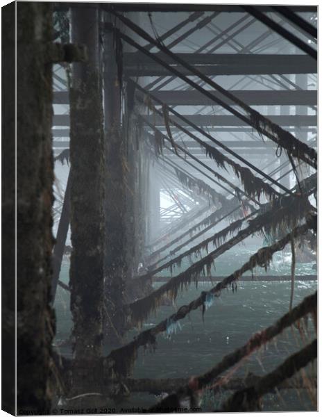 Under the pier- Triangles Canvas Print by Tomasz Goli
