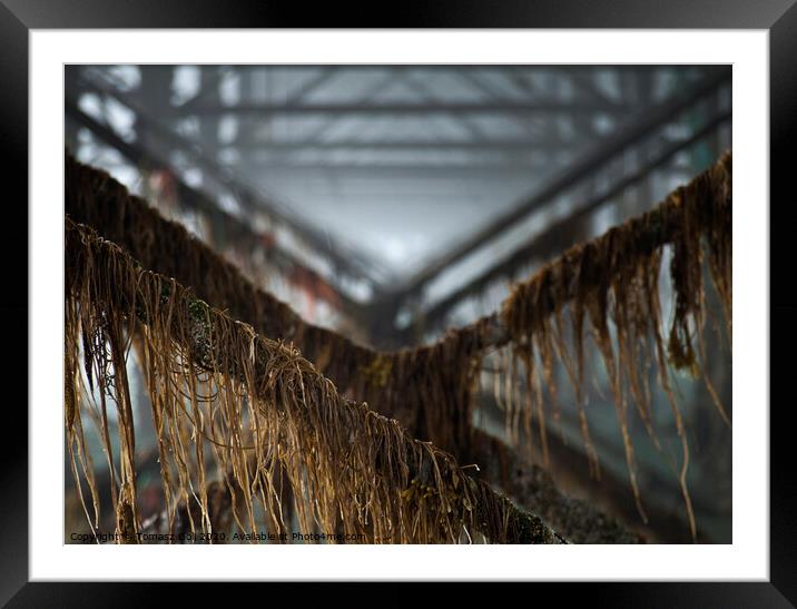 Under the Pier- Invertion Framed Mounted Print by Tomasz Goli